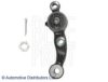 BLUE PRINT ADT386117 Ball Joint